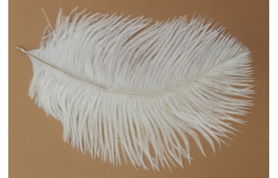 Pluma Avestruz 180mm Blanca